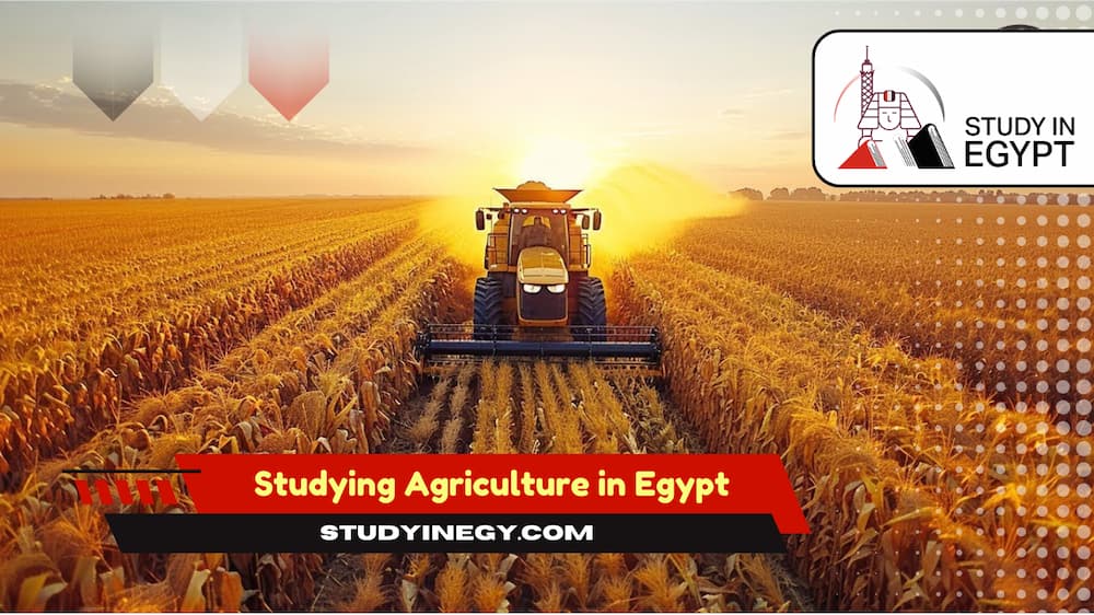 Studying Agriculture in Egypt for International Students
