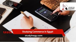 Studying Commerce in Egypt