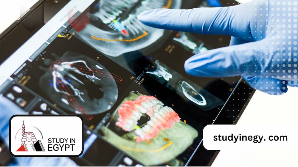 Studying Dentistry in Egypt