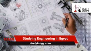 Studying Engineering in Egypt