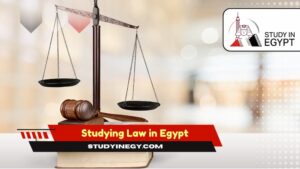 Studying Law in Egypt
