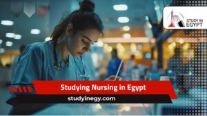 Studying Nursing in Egypt