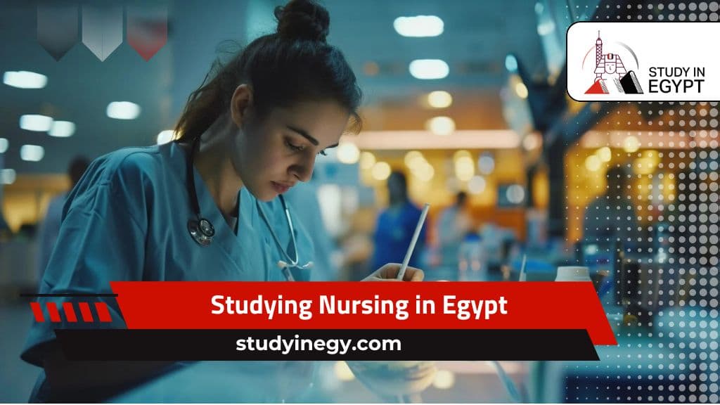 Studying Nursing in Egypt