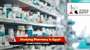 Studying Pharmacy in Egypt