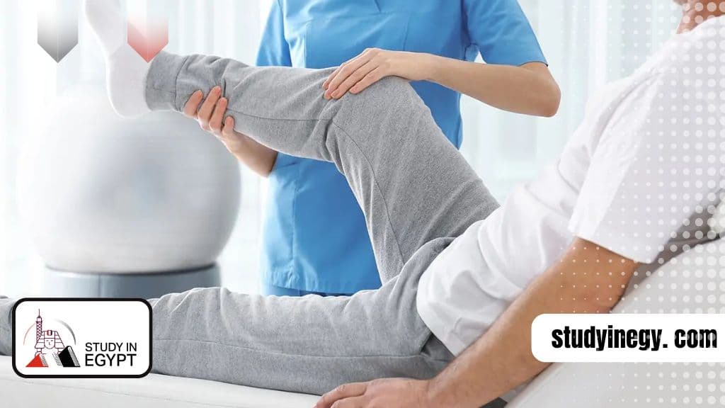 Studying Physical Therapy in Egypt