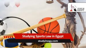 Studying Sports Law in Egypt