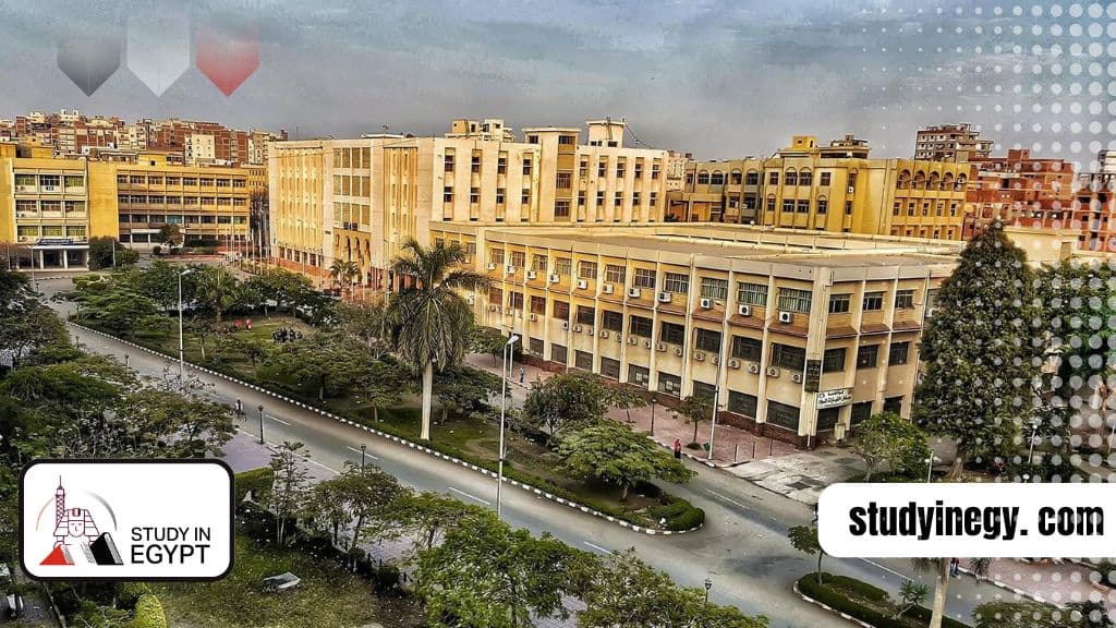 zagazig university