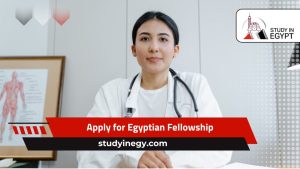 Apply for Egyptian Fellowship