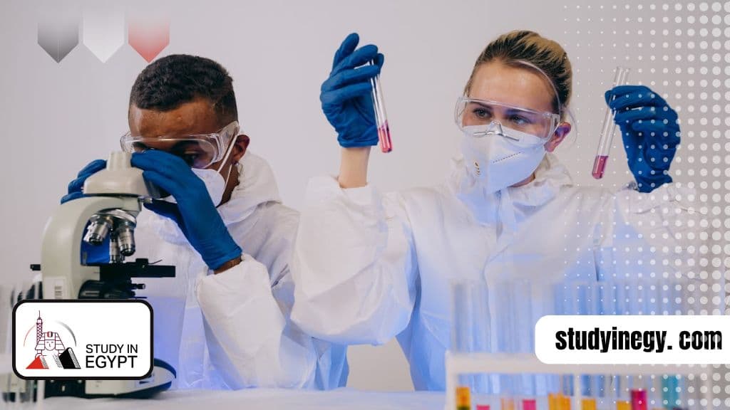 Study Biomedical Sciences in Egypt