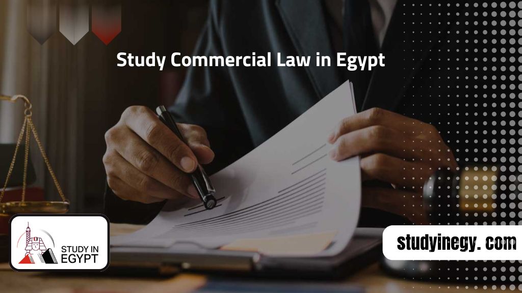 Study Commercial Law in Egypt
