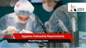 Egyptian Fellowship Requirements