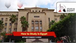 How to Study in Egypt: Admission, Costs, and Benefits for International Students
