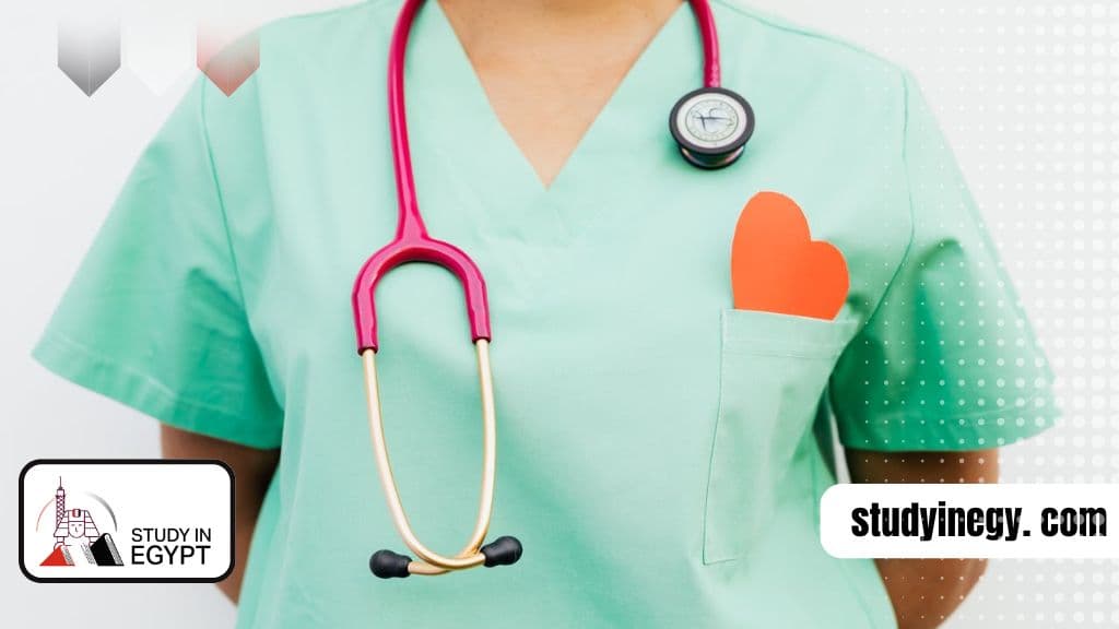 Study Public Health in Egypt