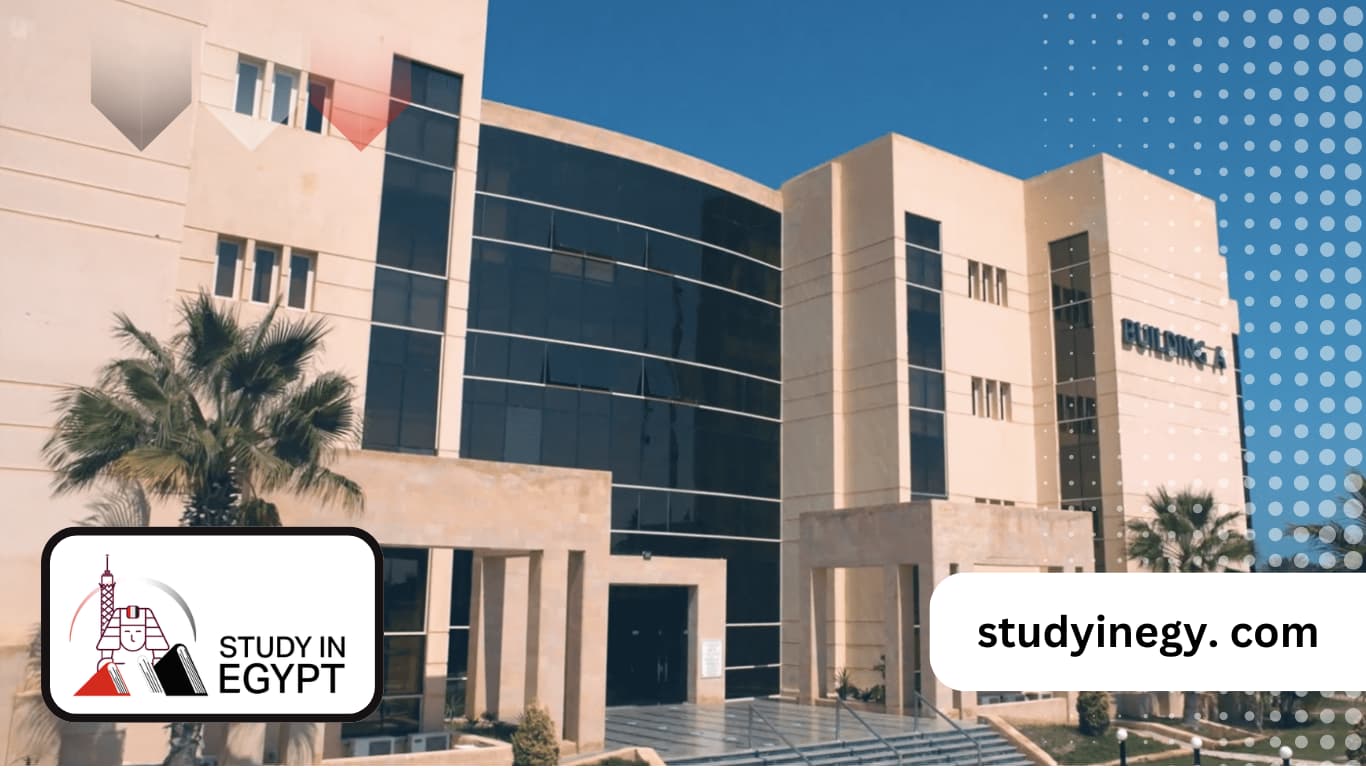 Sinai University