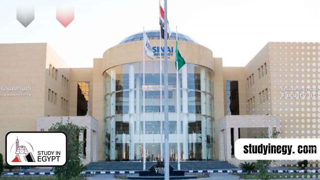 Sinai University
