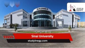 Sinai University