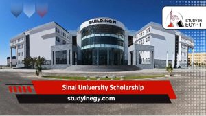 Sinai University Scholarship