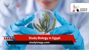 Study Biology in Egypt