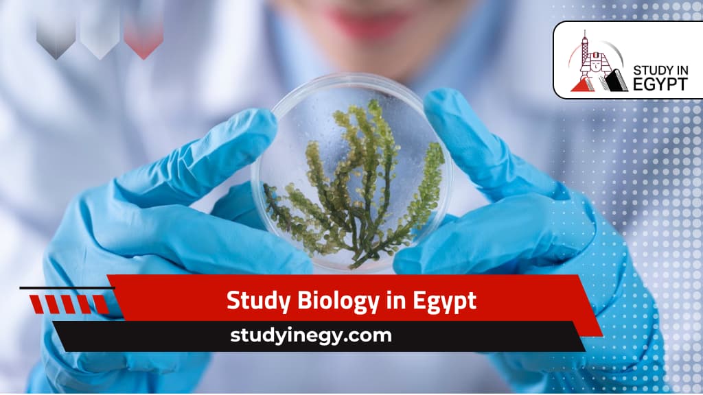 Study Biology in Egypt