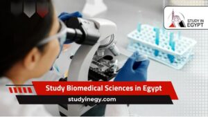 Study Biomedical Sciences in Egypt