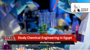Study Chemical Engineering in Egypt