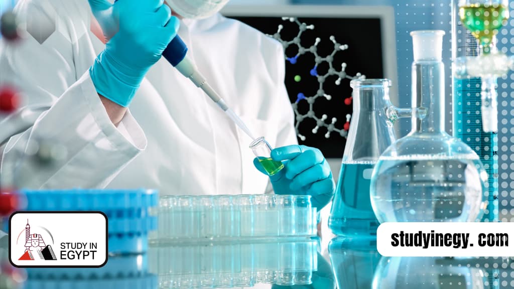 Study Chemical Engineering in Egypt