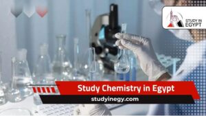 Study Chemistry in Egypt