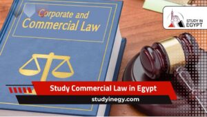 Study Commercial Law in Egypt