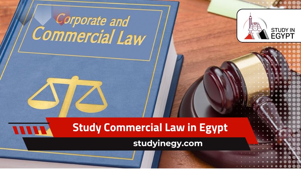Study Commercial Law in Egypt