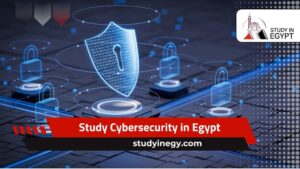 Study Cybersecurity in Egypt