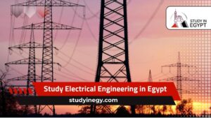 Study Electrical Engineering in Egypt