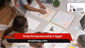 Study Entrepreneurship in Egypt