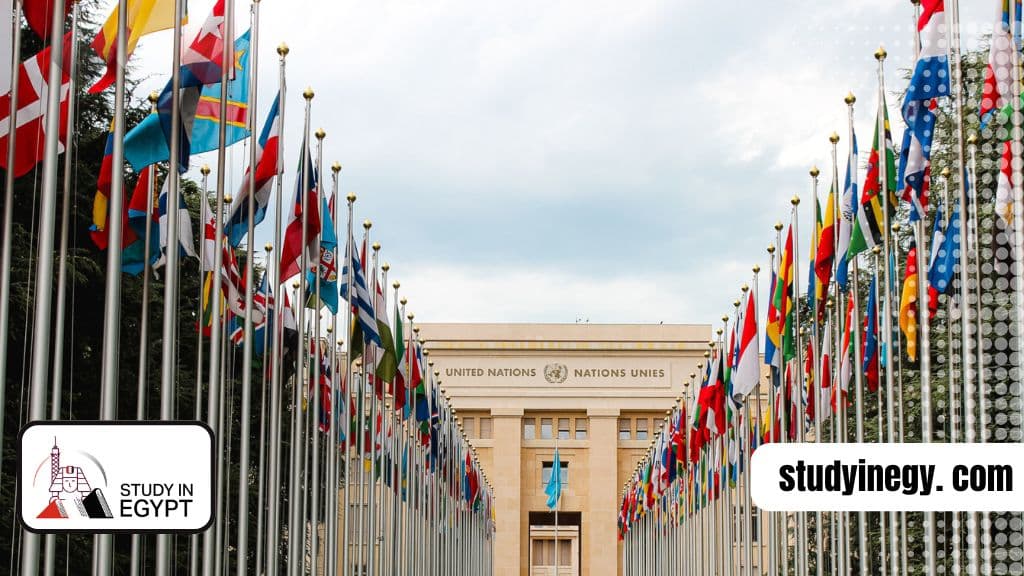 Study International Law in Egypt