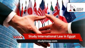 Study International Law in Egypt