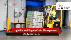 Study Logistics and Supply Chain Management in Egypt