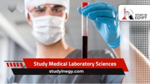 Study Medical Laboratory Sciences in Egypt