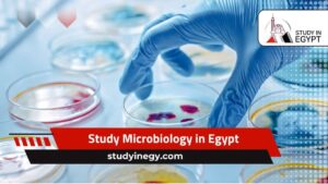 Study Microbiology in Egypt
