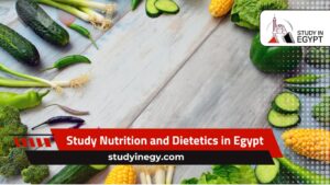 Study Nutrition and Dietetics in Egypt