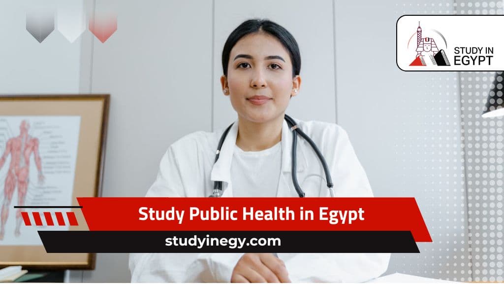 Study Public Health in Egypt