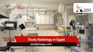 Study Radiology in Egypt