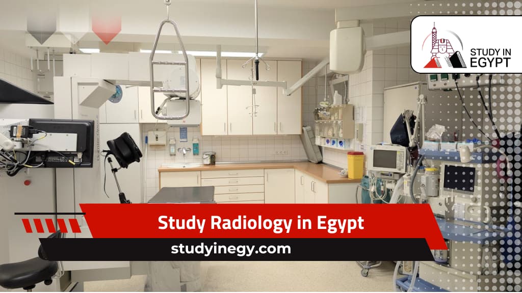 Study Radiology in Egypt