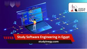 Study Software Engineering in Egypt