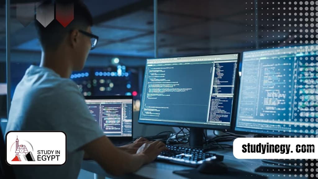 Study Software Engineering