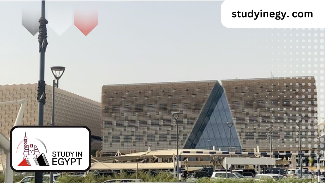Study Abroad Consultant in Kuwait City