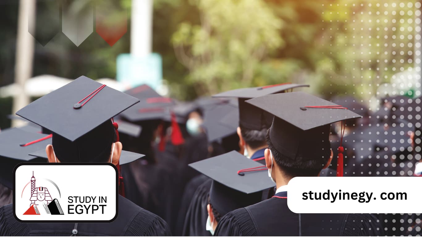 Egypt Scholarships 
