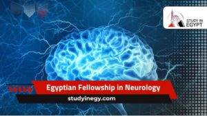 Egyptian Fellowship in Neurology