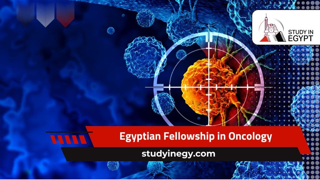 Egyptian Fellowship in Oncology