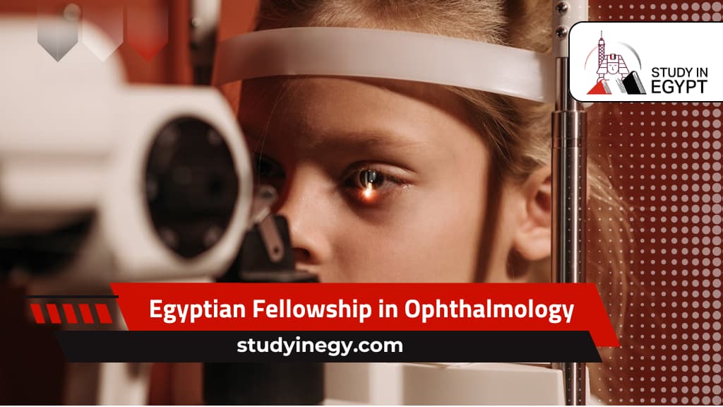 Egyptian Fellowship in Ophthalmology
