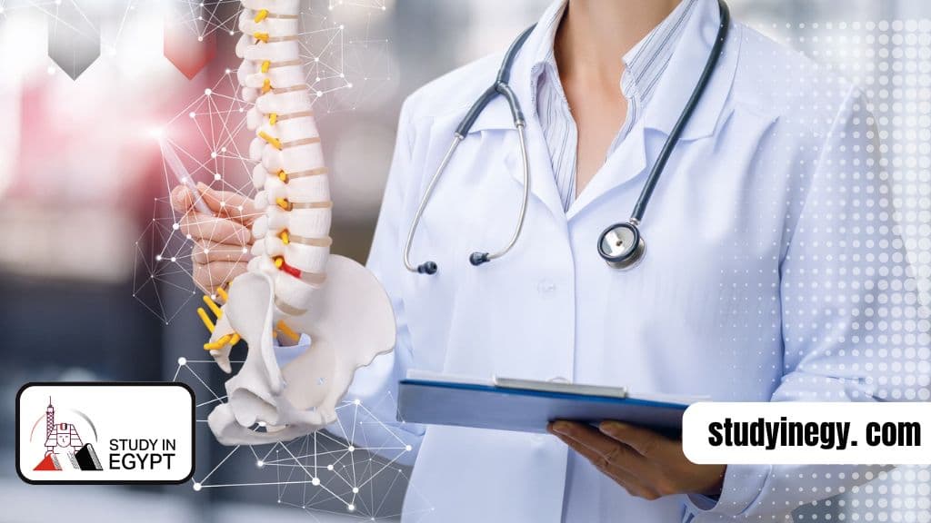 Egyptian Fellowship in Orthopedics
