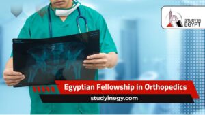 Egyptian Fellowship in Orthopedics